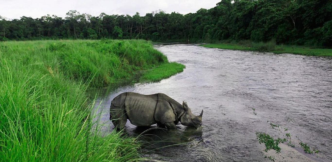 Chitwan Jungle Safari